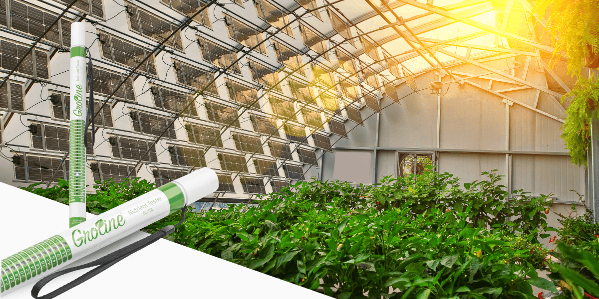 Medición de la calidad del agua en cultivos hidropónicos