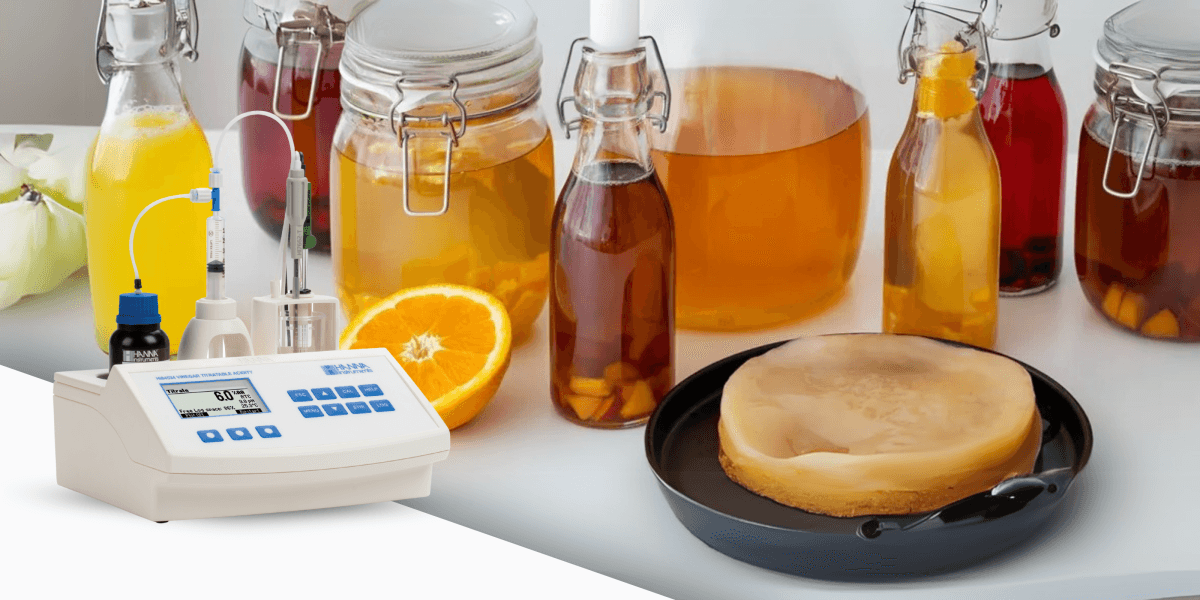 Producción de Kombucha y Análisis Requeridos