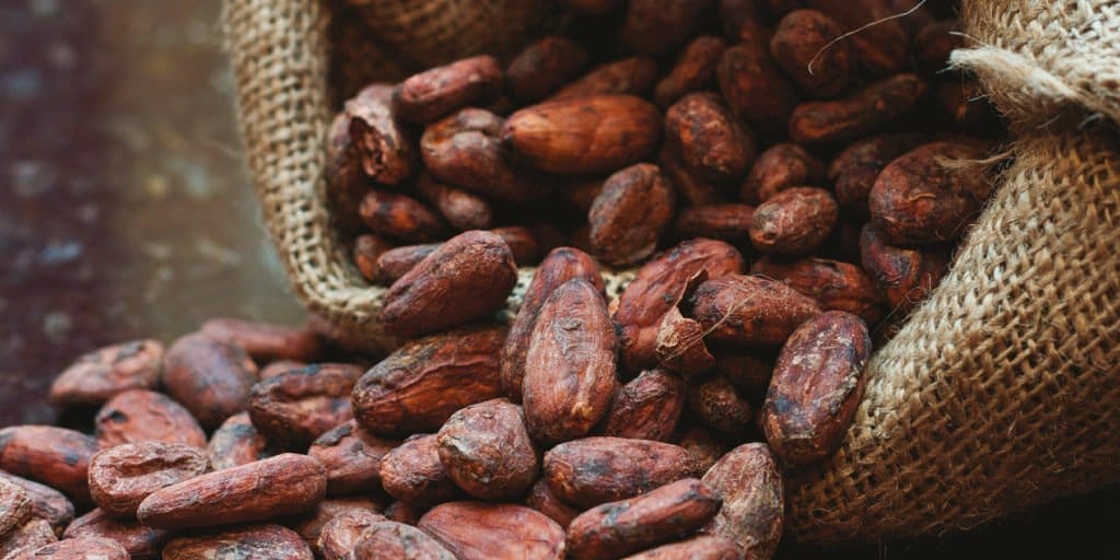 aplicacion cacao 1|